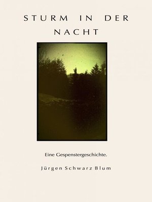 cover image of Sturm in der Nacht
